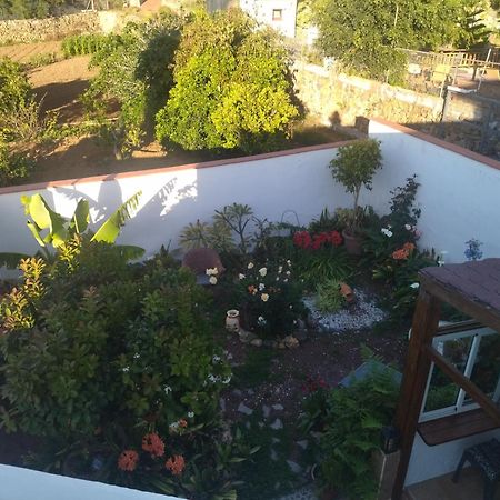 La Guancha2Farosアパートメント エクステリア 写真